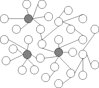 scale free network